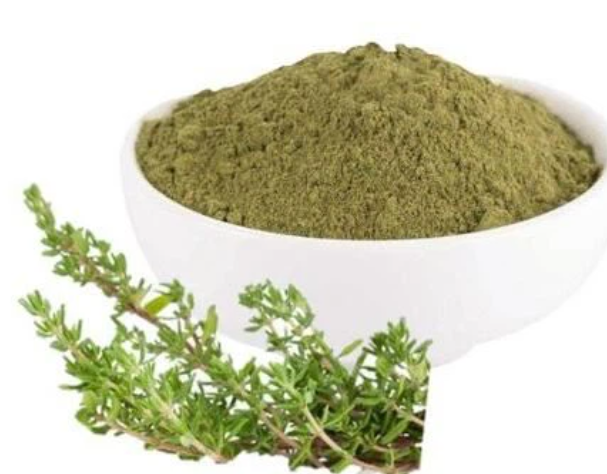 Thyme Leaf Powder Thyme Leaf Powder