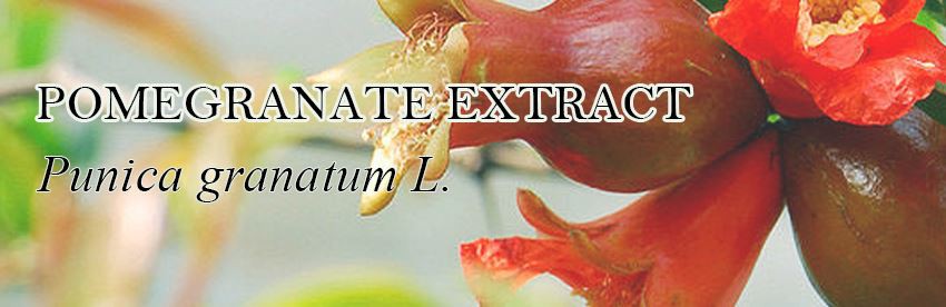 organic pomegranate extract(03)