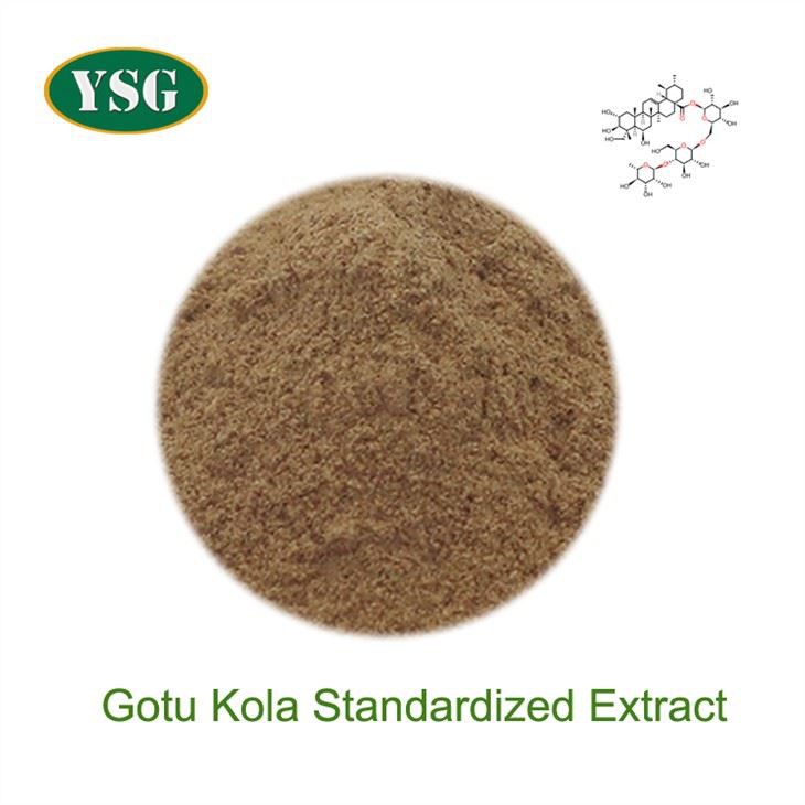 Gotu Kola Standardized Extrait
